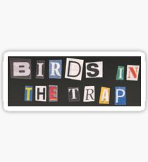 Birds in the Trap Sticker