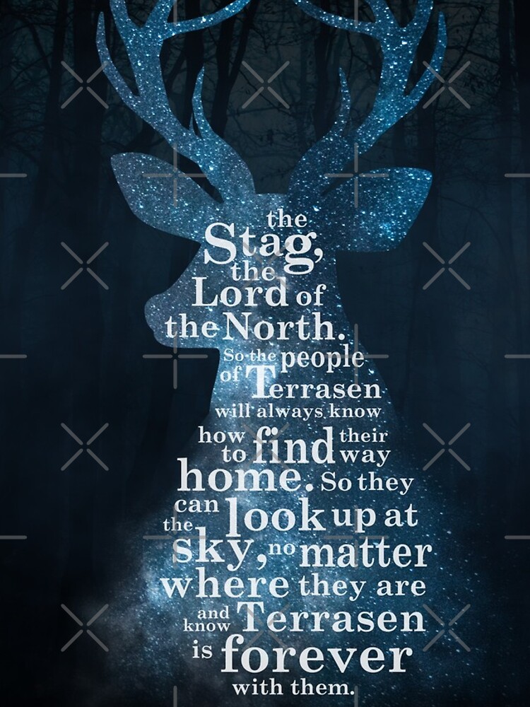 Throne of Glass - The Stag, the Lord of the North by yairalynn