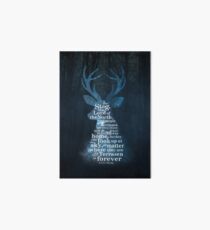 Throne of Glass - The Stag, the Lord of the North Art Board