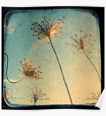 Reach for the Sky - Through The Viewfinder (TTV) Poster