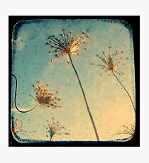 Reach for the Sky - Through The Viewfinder (TTV) Photographic Print