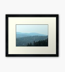 A "False" Sense of Spring :) Framed Print