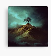 Lonely tree Canvas Print