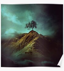 Lonely tree Poster