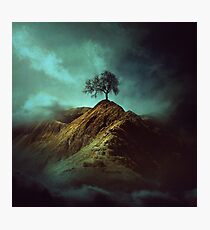 Einsamer Baum Fotodruck