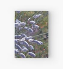 Salix Cinerea Hardcover Journal