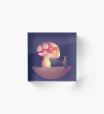 Exploring Acrylic Block