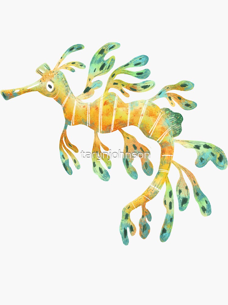 Leafy Seadragon by tarynjohnson