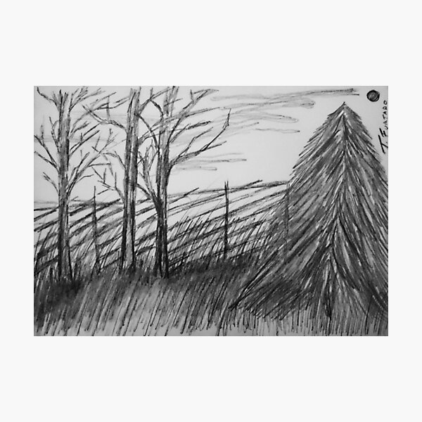 Black and white landscape Photographic Print