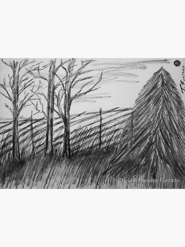 Black and white landscape by triciafurtado
