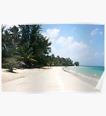 White sand beach and palm trees with blue colored ocean. Poster