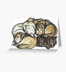 Sleeping pile of grey wolves Greeting Card