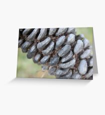 Seedpod Greeting Card