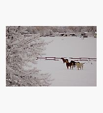Winter Wonderland w/horses Photographic Print