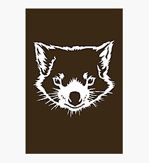 Tassie Devil Photographic Print