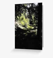 woods Greeting Card