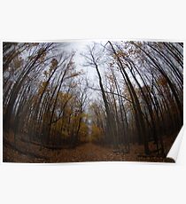 Trees Poster