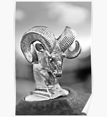 Dodge Ram Hood Ornament-049bw Poster