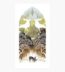 DA:I-Exalted Plains Photographic Print