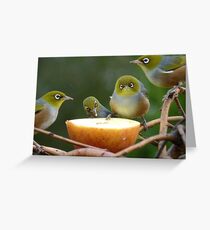 Don't Put YOUR Foot In It!!! - Silver-Eyes - NZ Greeting Card