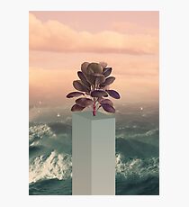 Collage Art Photographic Print