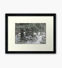 Camp Pathfinder at Algonquin Park Framed Print