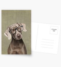 Mr Weimaraner Postcards