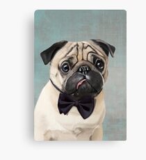 Mr Pug Canvas Print