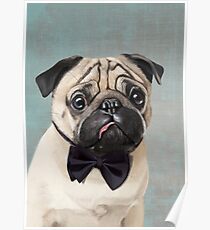 Mr Pug Poster