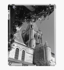 Loches iPad Case/Skin