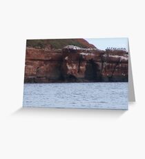 coastal Greeting Card