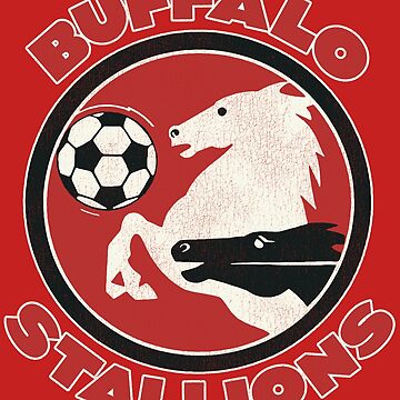 Defunct Buffalo Stallions Soccer 1979 - Buffalo New York - Magnet