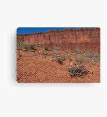 Monument Valley Canvas Print