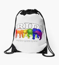LGBT+ (Lion) Pride Drawstring Bag