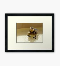 NO.... I'm Not Coming Out!!! - Mallard Duckling - NZ Framed Print