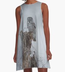 Gloomy Sunday A-Line Dress