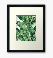 Tropical banana leaves III Framed Print