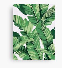 Tropical banana leaves III Canvas Print