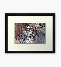 Set Asunder Framed Print