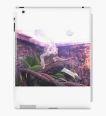 reptile iPad Case/Skin