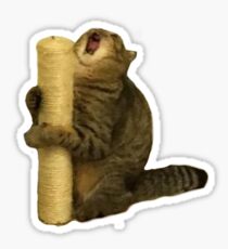 Screamo Catto Sticker