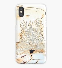 Water Globe iPhone Case