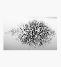 Entwistle 11 Photographic Print