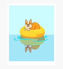 Summer Corgi Photographic Print