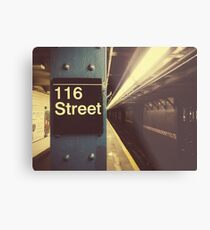 New York City Subway Metal Print