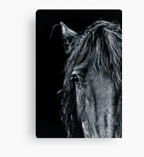 Horse Canvas Print
