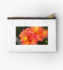 Nature's Best Studio Pouch