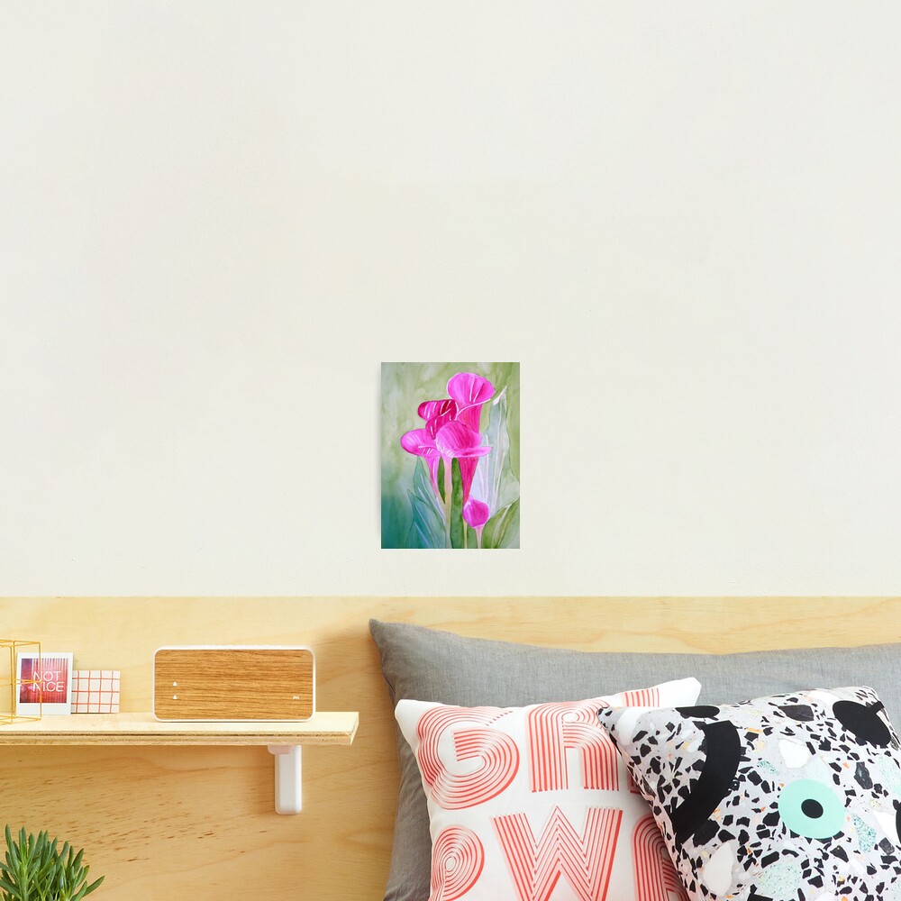 Calla Lily Photographic Print
