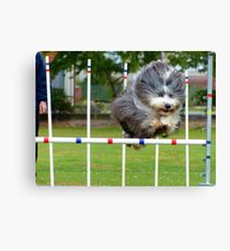 This is Ezypeezy... Flygility Invercargill - NZ Canvas Print