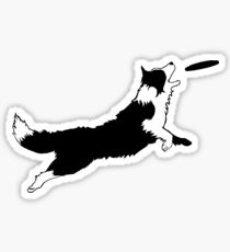 Pegatina Dog Fetch Frisbee Border Collie